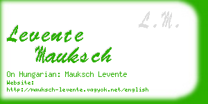 levente mauksch business card